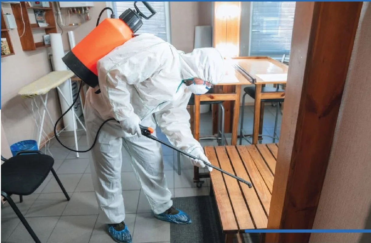 Pest Consult professional pest control service