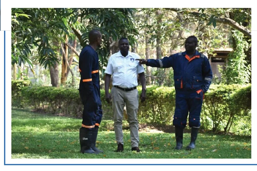 Pest Consult team